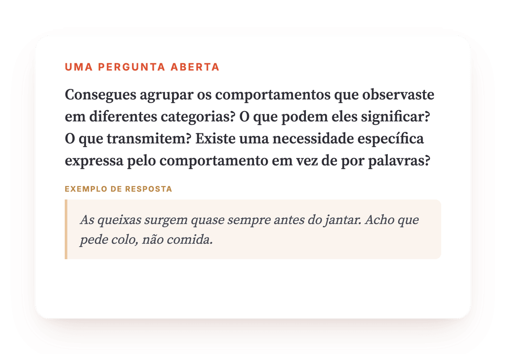 Prévia, um trecho de uma etapa do programa