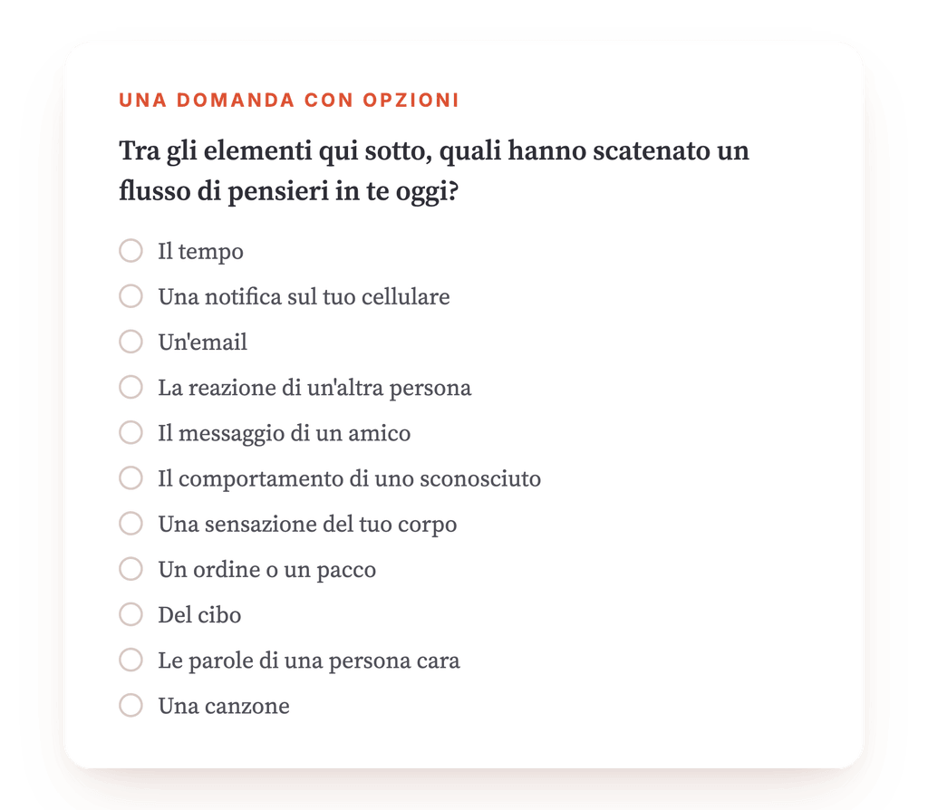 Anteprima, un estratto di una fase del programma