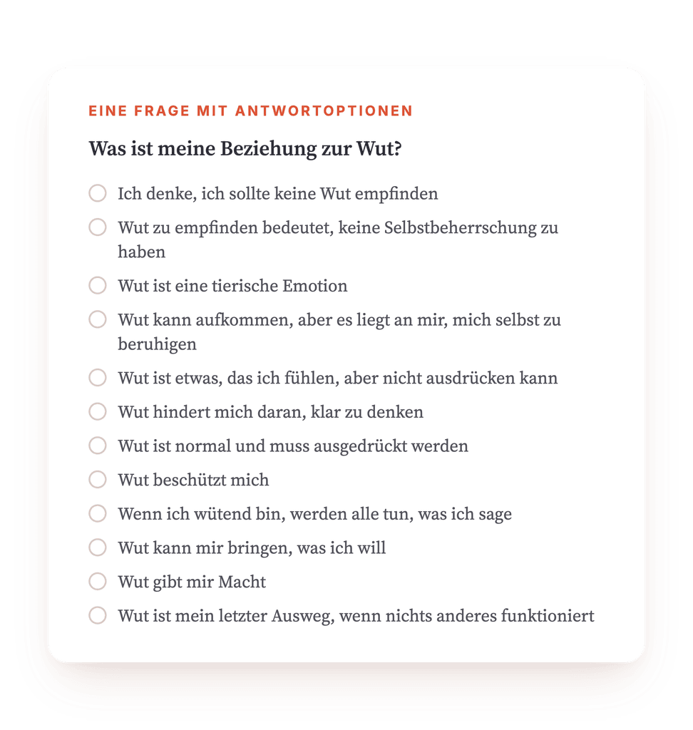 Vorschau, ein Auszug aus einem Schritt des Programms