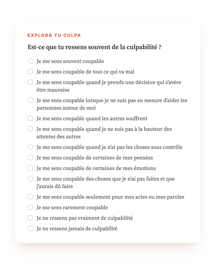 Vista previa, un extracto de una etapa del programa