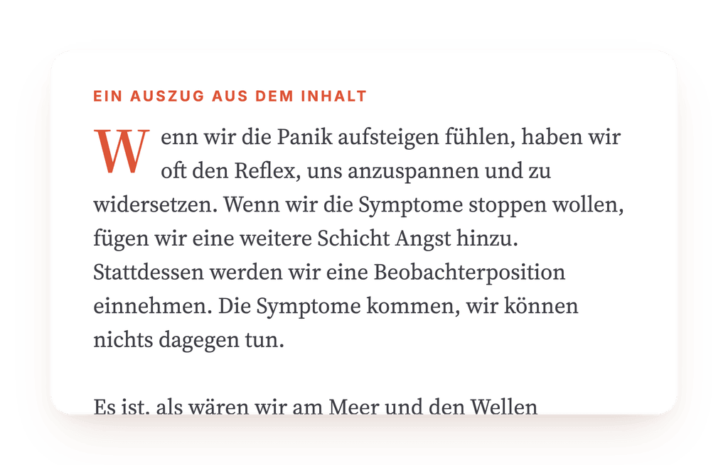 Vorschau, ein Auszug aus einem Schritt des Programms