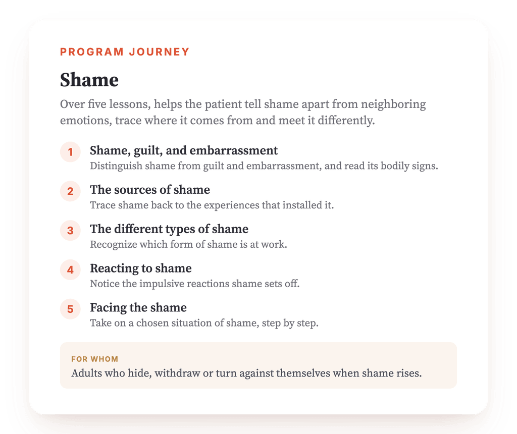 Program overview · The map of the program, lesson by lesson.