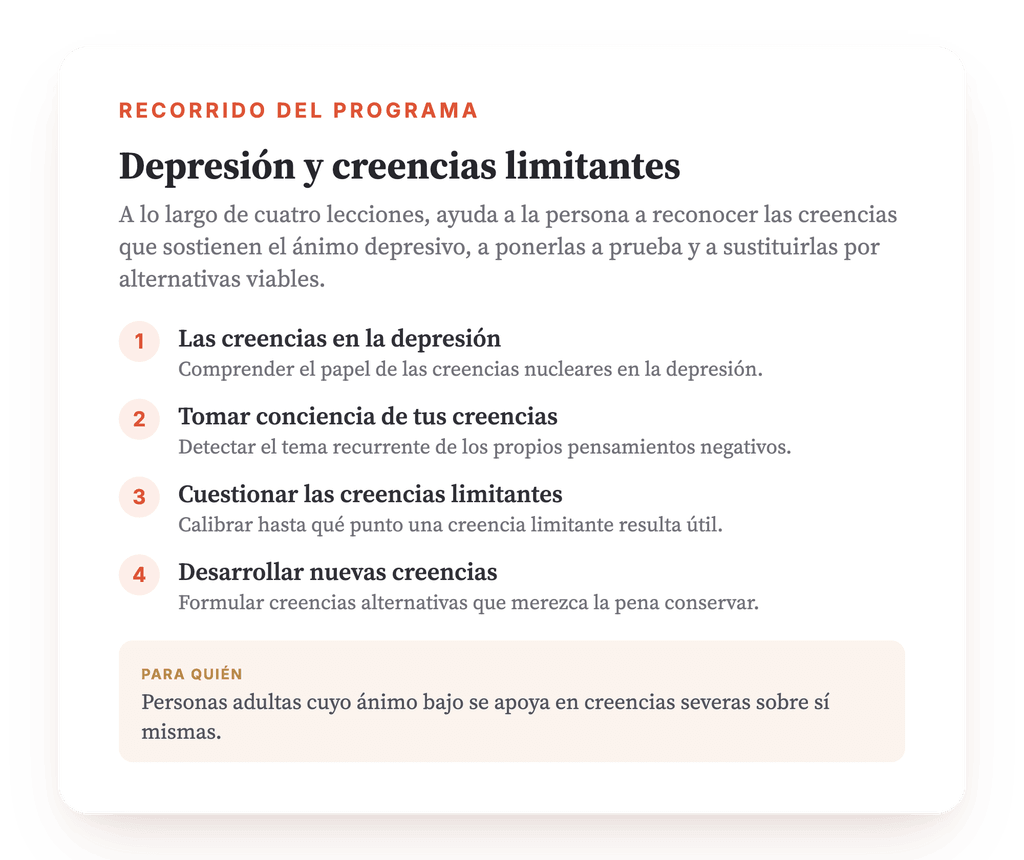 Resumen del programa · El mapa del programa, lección a lección.