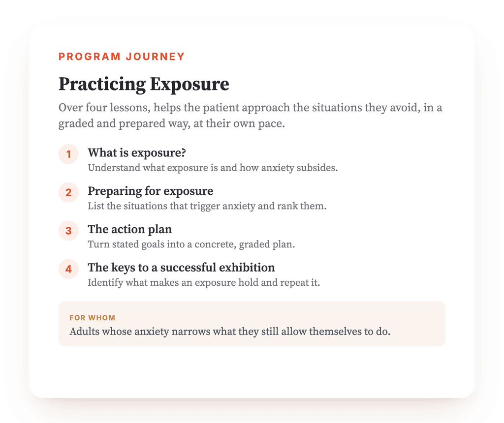 Program overview · The map of the program, lesson by lesson.