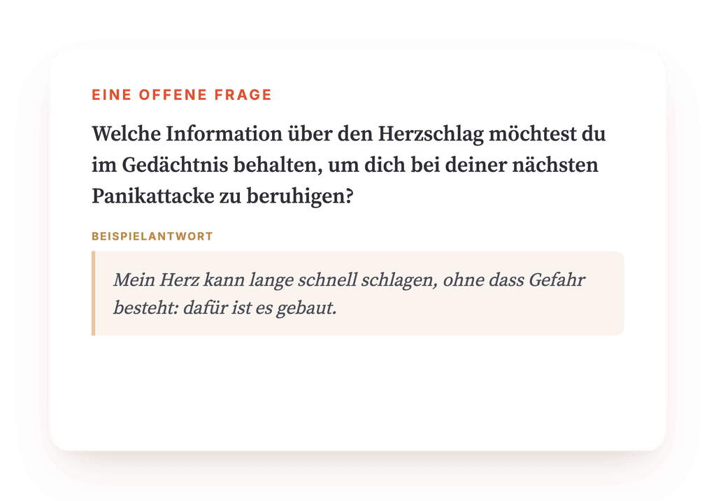 Vorschau, ein Auszug aus einem Schritt des Programms