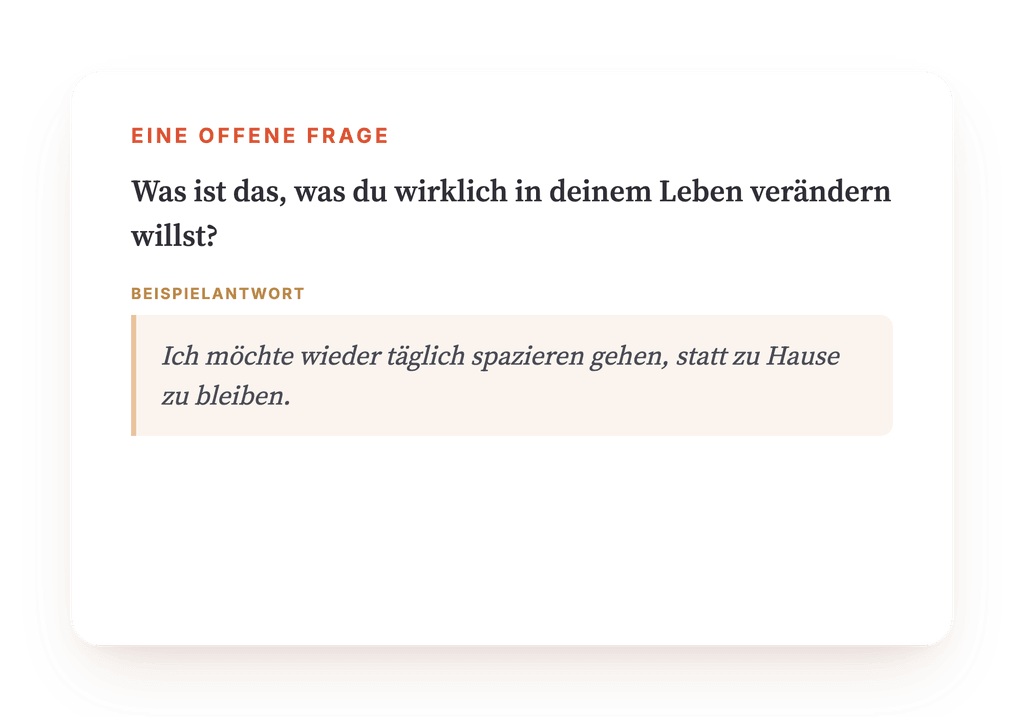 Vorschau, ein Auszug aus einem Schritt des Programms