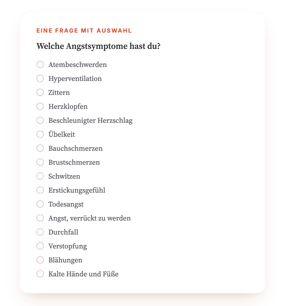 Vorschau, ein Auszug aus einem Schritt des Programms
