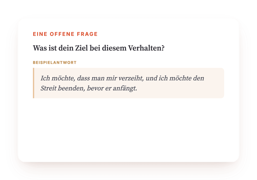 Vorschau, ein Auszug aus einem Schritt des Programms