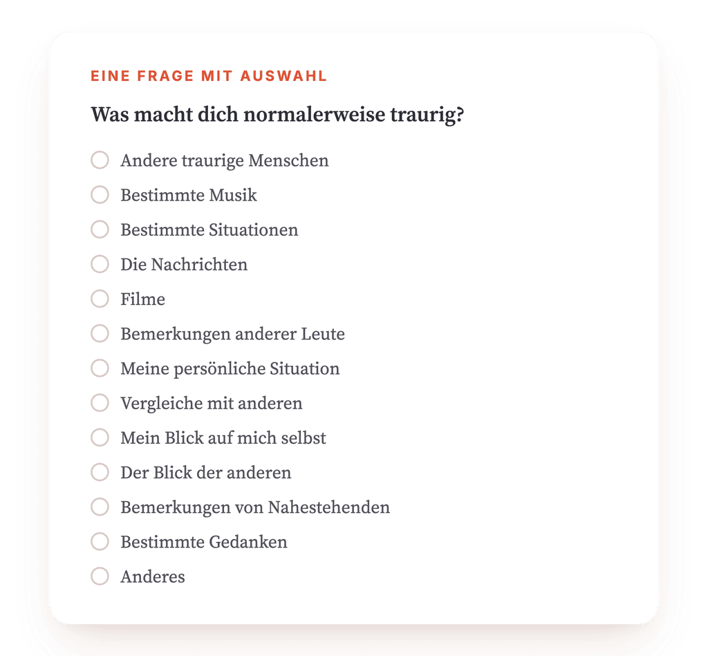 Vorschau, ein Auszug aus einem Schritt des Programms