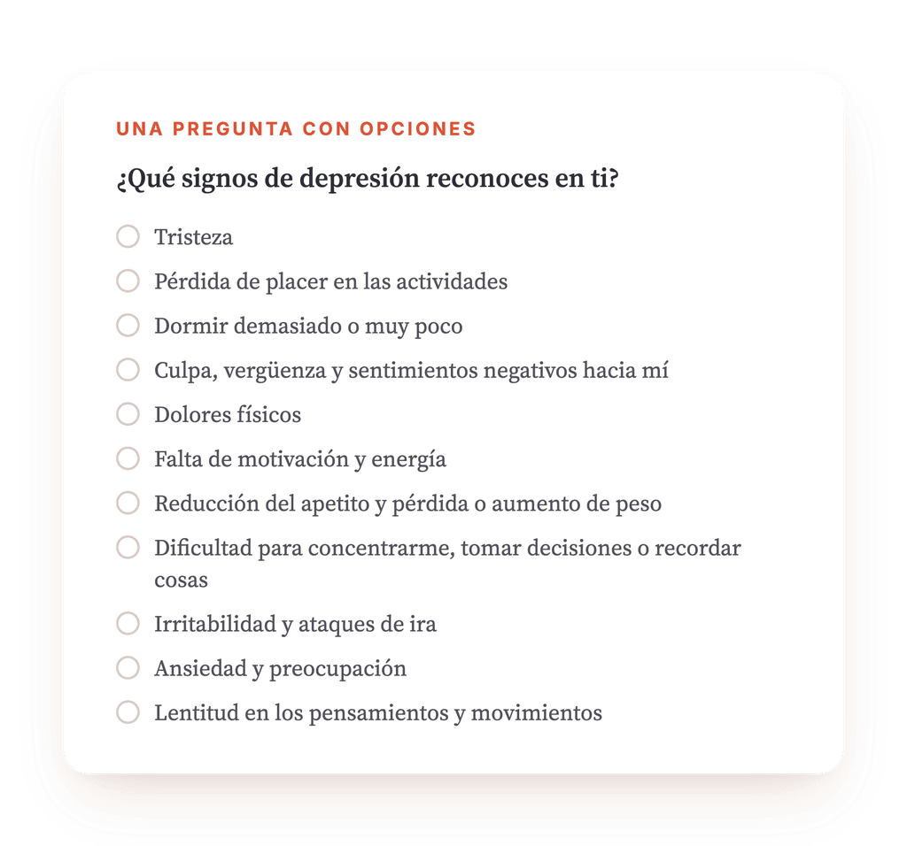 Vista previa, un extracto de una etapa del programa