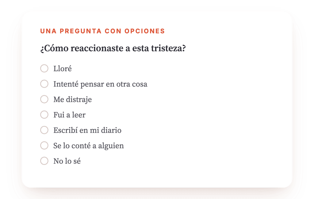 Vista previa, un extracto de una etapa del programa