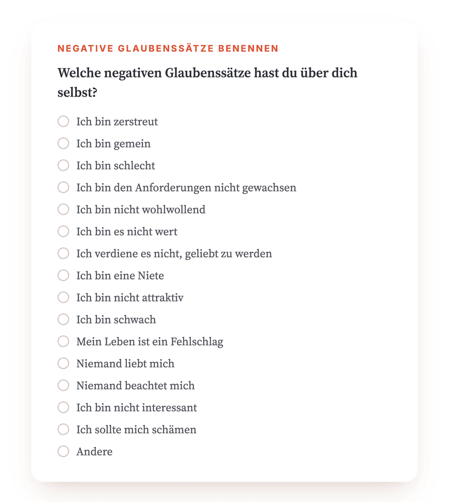 Vorschau, ein Auszug aus einem Schritt des Programms
