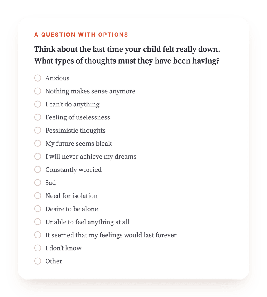 Preview, an excerpt from one step of the program