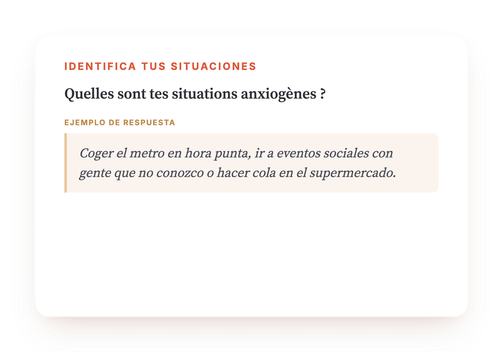 Vista previa, un extracto de una etapa del programa
