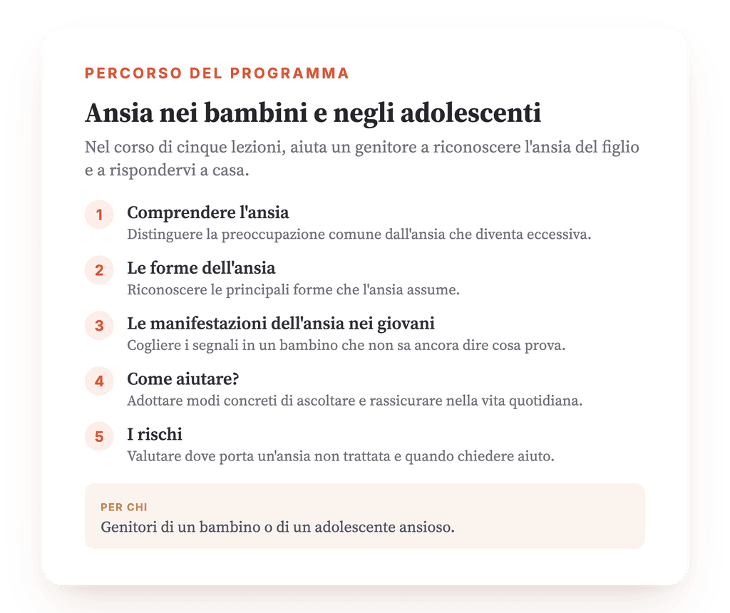 Panoramica del programma · La mappa del programma, lezione per lezione.