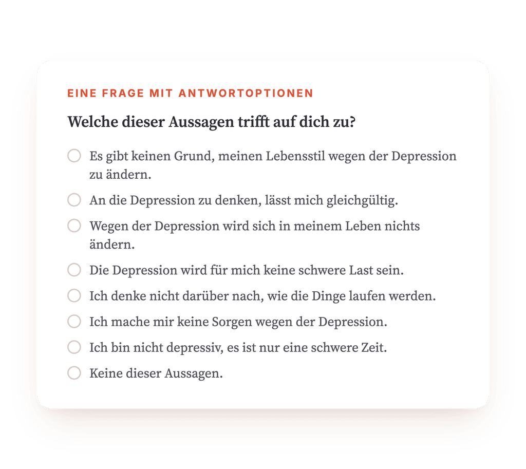 Vorschau, ein Auszug aus einem Schritt des Programms