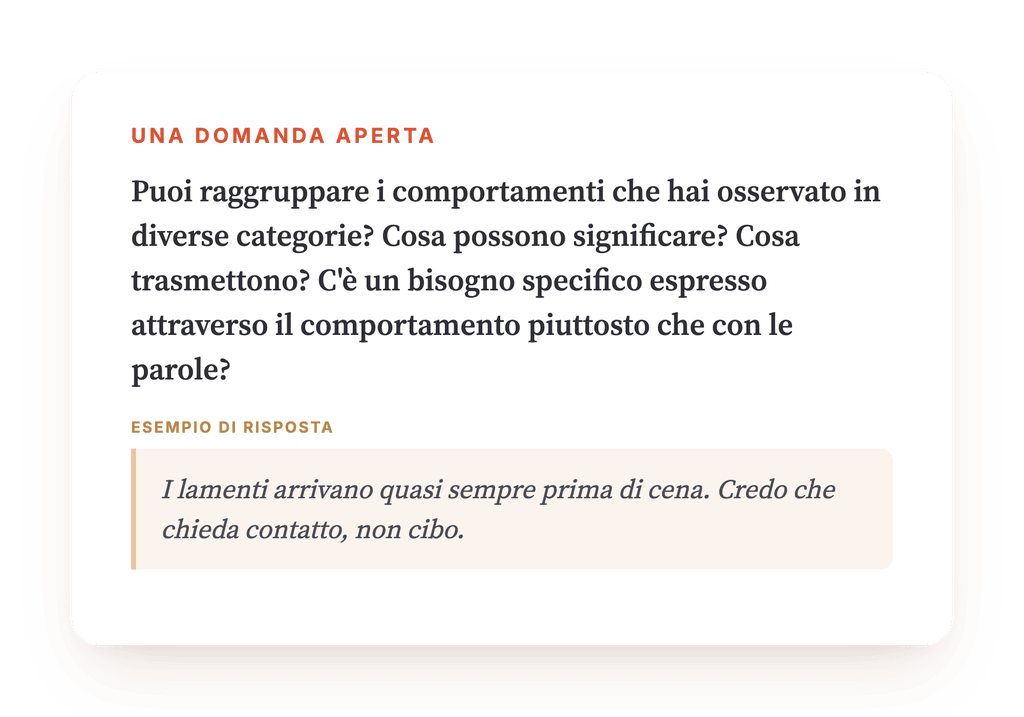 Anteprima, un estratto di una fase del programma
