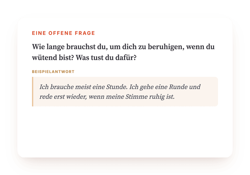 Vorschau, ein Auszug aus einem Schritt des Programms