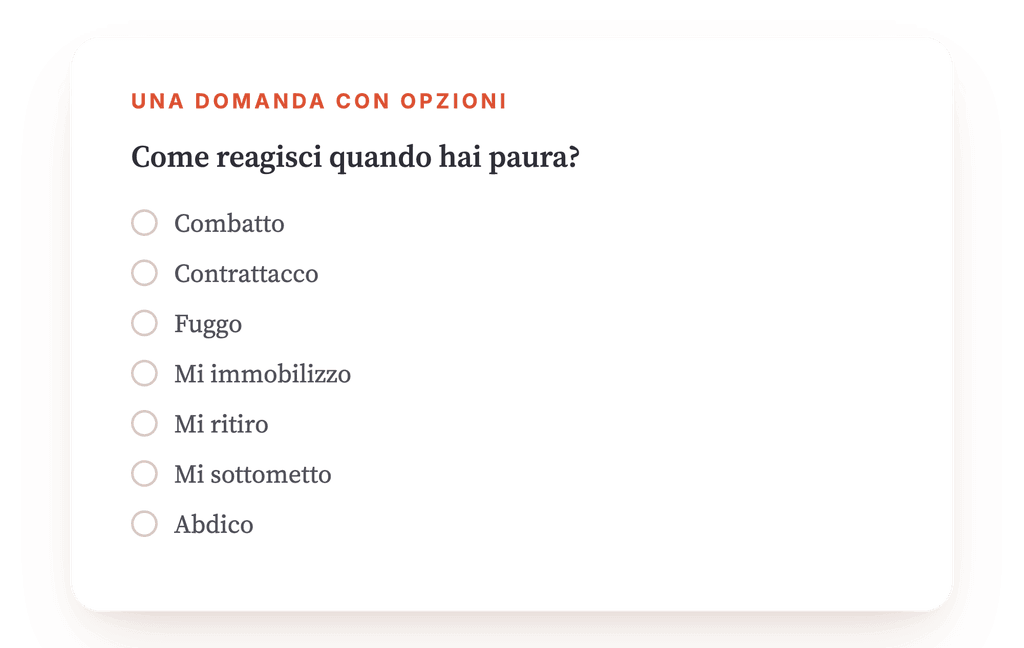 Anteprima, un estratto di una fase del programma