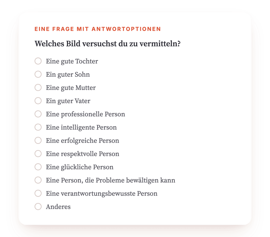 Vorschau, ein Auszug aus einem Schritt des Programms