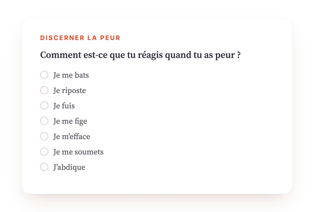 Aperçu, un extrait d'une étape du programme