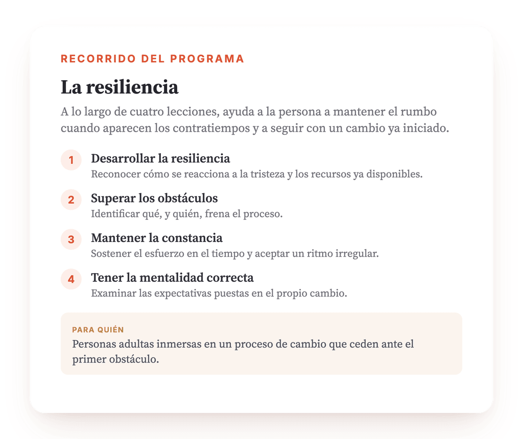 Resumen del programa · El mapa del programa, lección a lección.