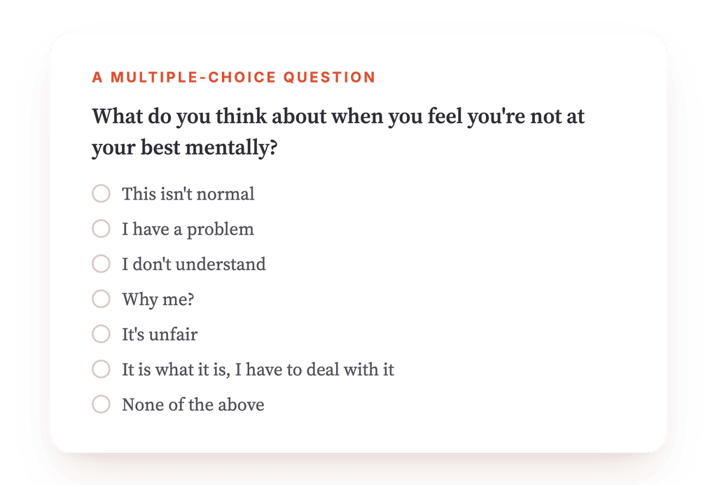 Preview, an excerpt from one step of the program