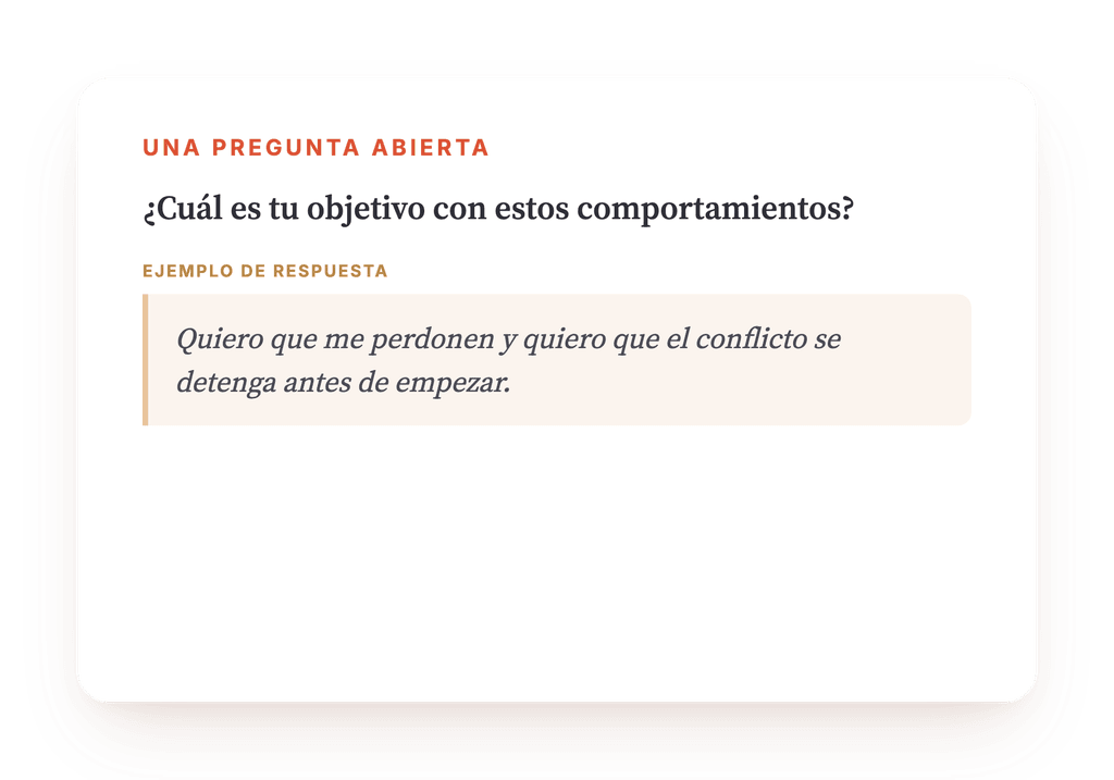 Vista previa, un extracto de una etapa del programa