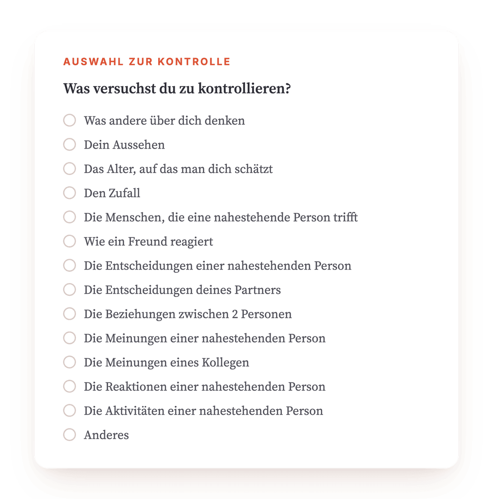 Vorschau, ein Auszug aus einem Schritt des Programms