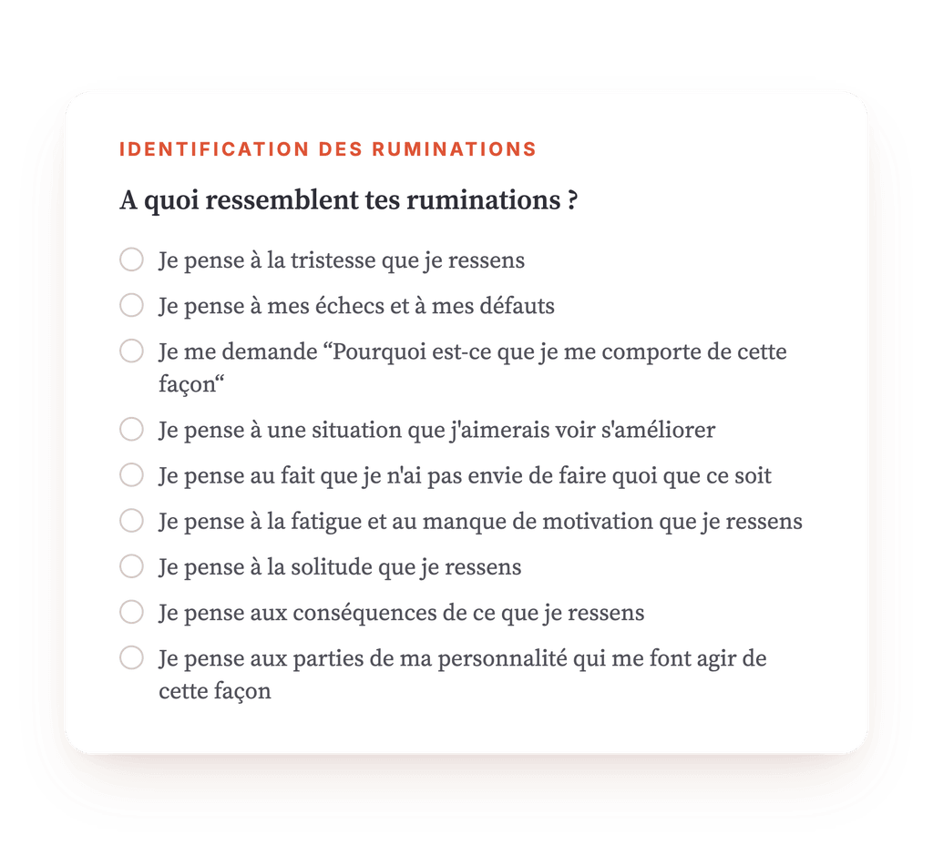 Aperçu, un extrait d'une étape du programme