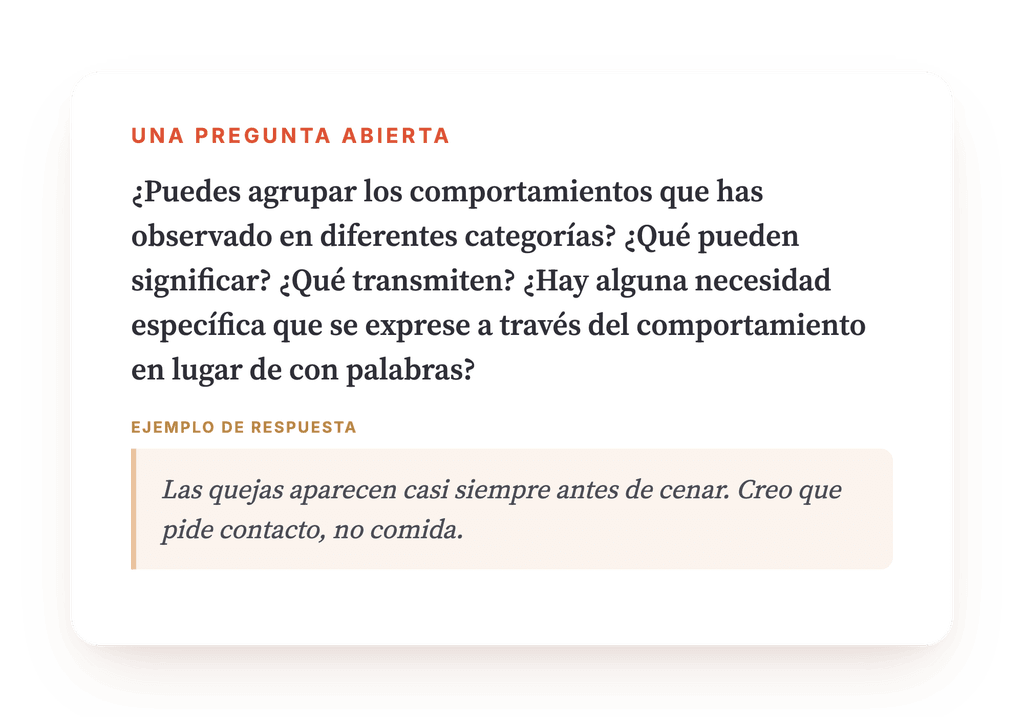 Vista previa, un extracto de una etapa del programa