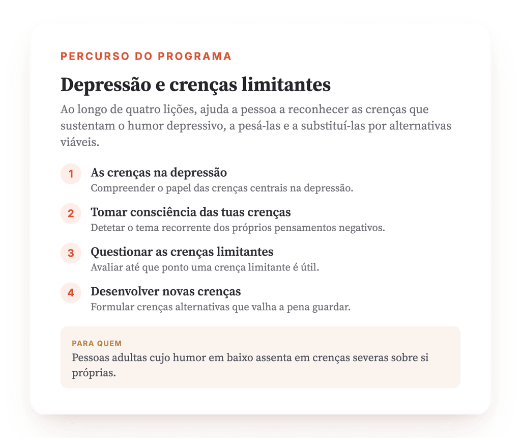 Visão geral do programa · O mapa do programa, lição a lição.