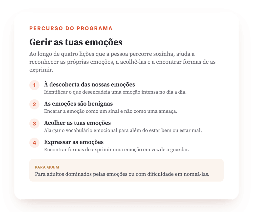 Visão geral do programa · O mapa do programa, lição a lição.