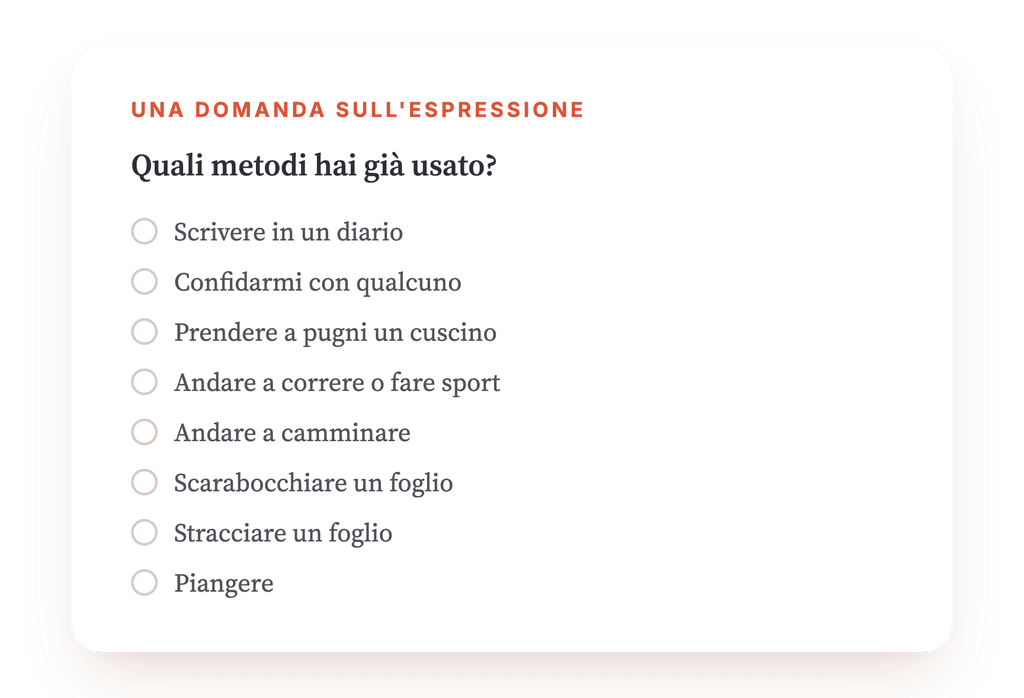 Anteprima, un estratto di una fase del programma