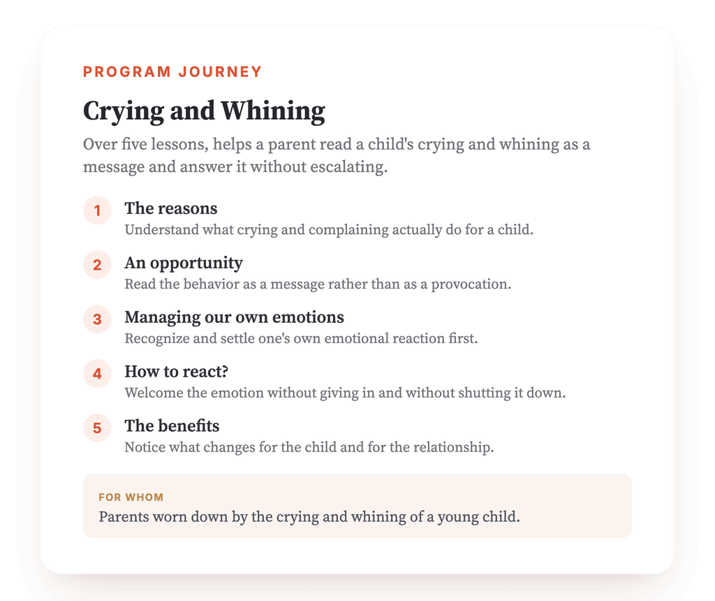 Program overview · The map of the program, lesson by lesson.