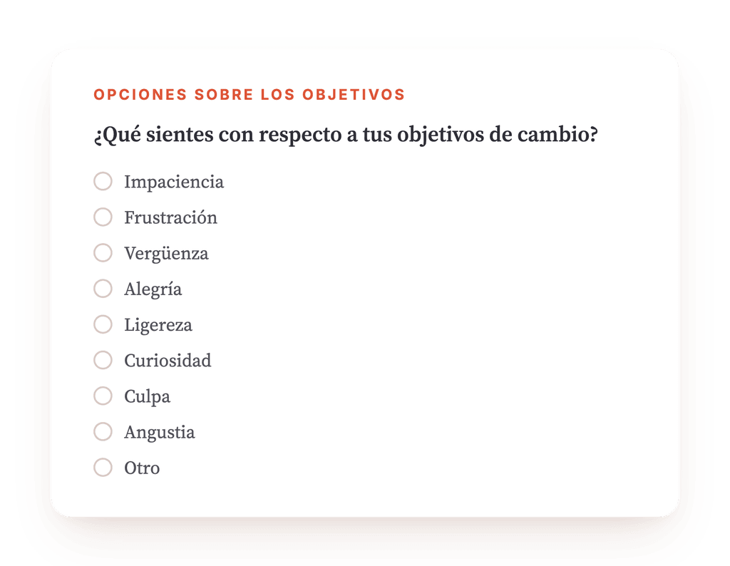 Vista previa, un extracto de una etapa del programa