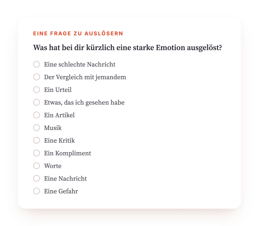 Vorschau, ein Auszug aus einem Schritt des Programms