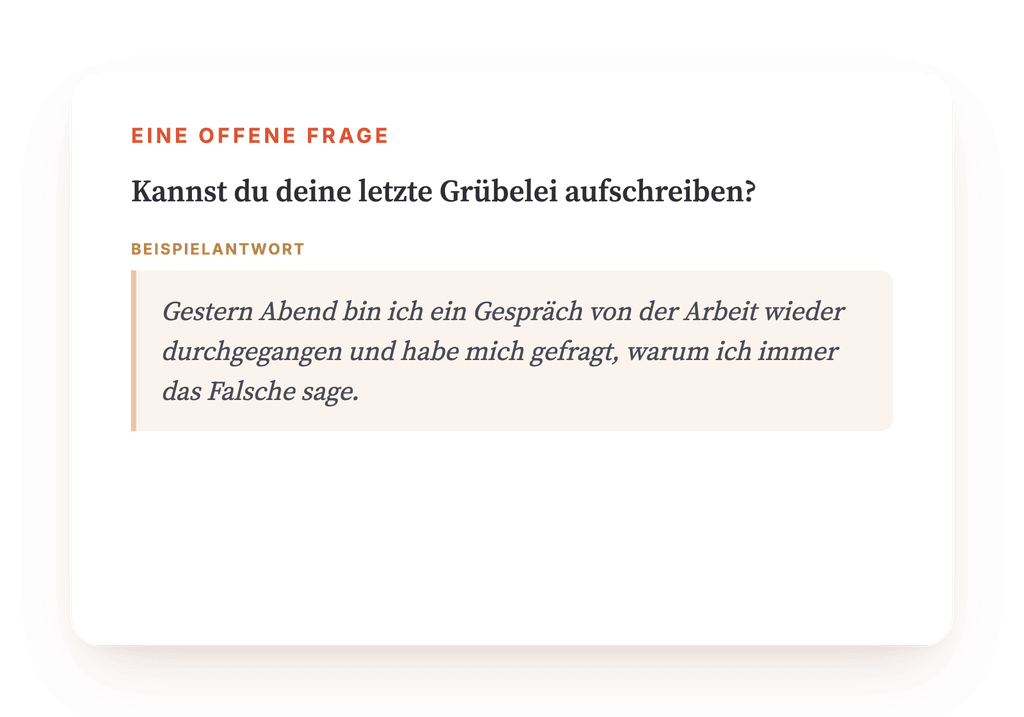 Vorschau, ein Auszug aus einem Schritt des Programms