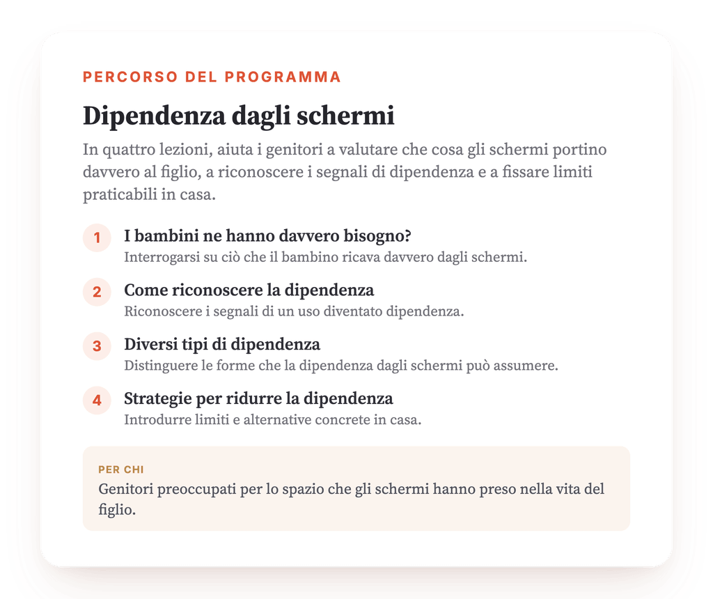 Panoramica del programma · La mappa del programma, lezione per lezione.