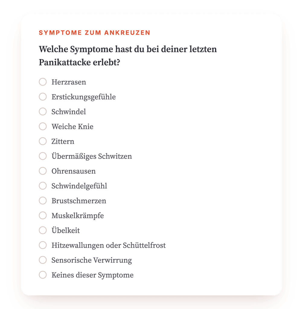 Vorschau, ein Auszug aus einem Schritt des Programms