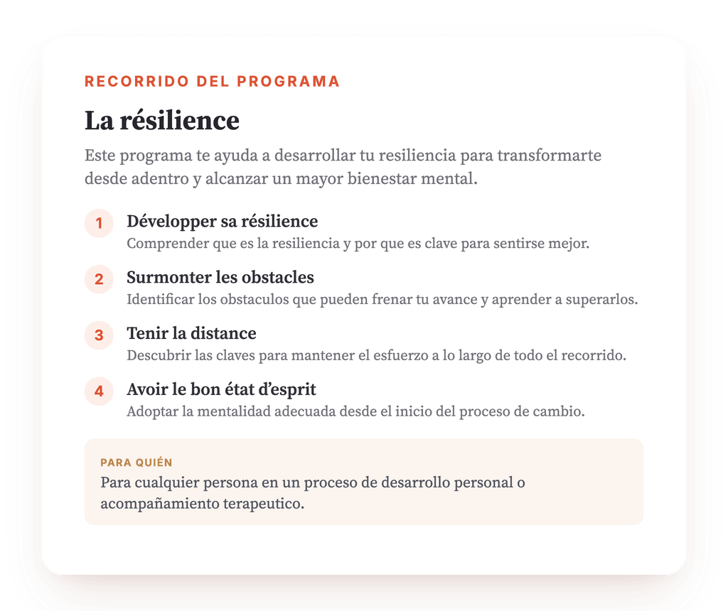 Resumen del programa · Mapa general del programa