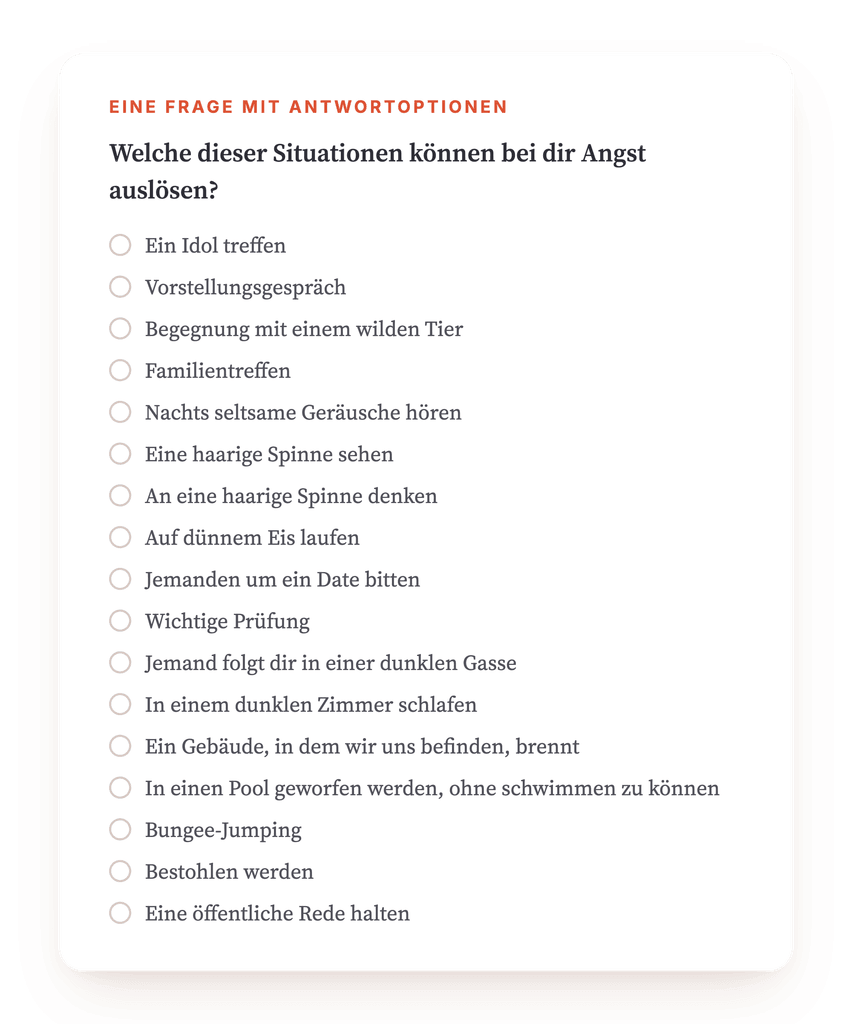 Vorschau, ein Auszug aus einem Schritt des Programms