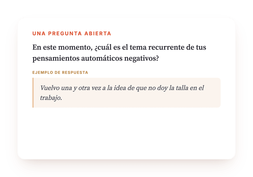 Vista previa, un extracto de una etapa del programa