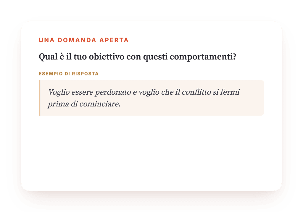 Anteprima, un estratto di una fase del programma