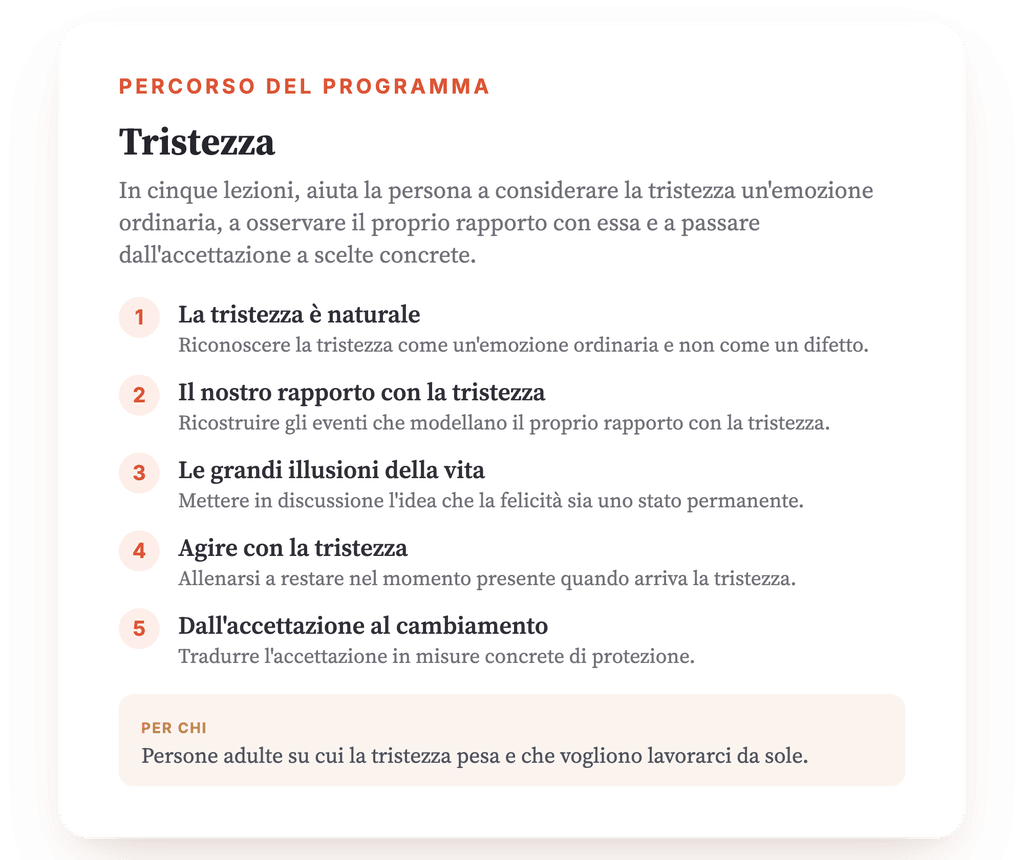 Panoramica del programma · La mappa del programma, lezione per lezione.