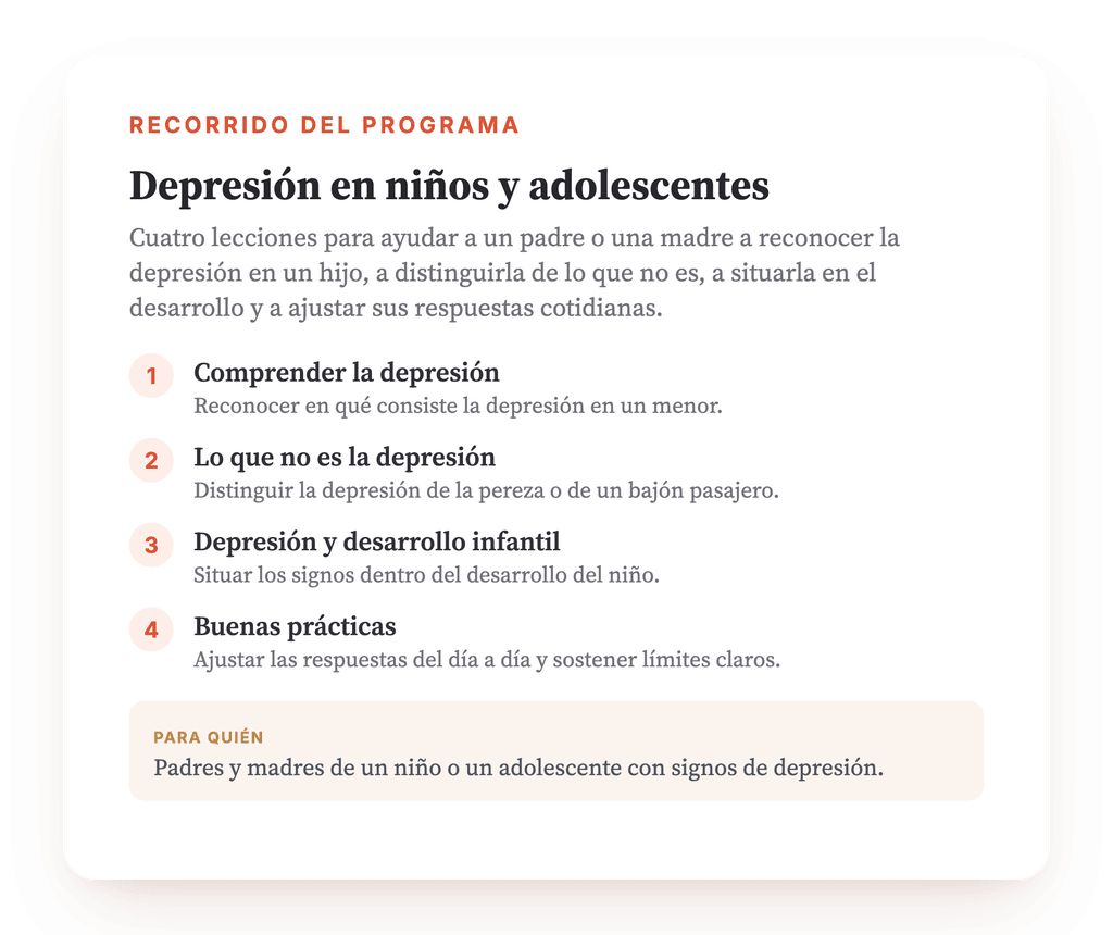 Resumen del programa · El mapa del programa, lección a lección.