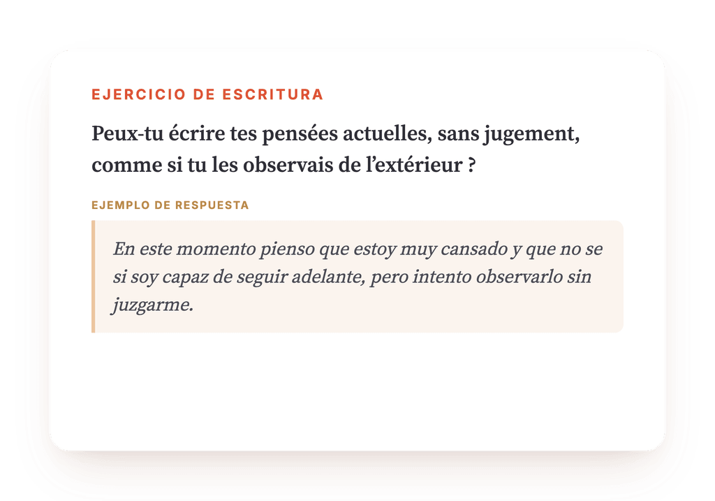 Vista previa, un extracto de una etapa del programa