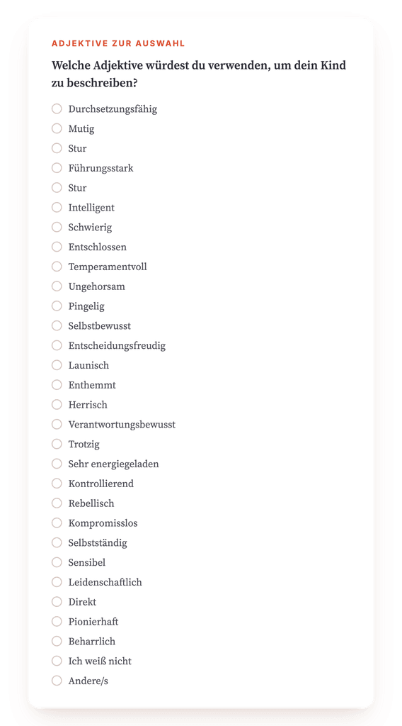 Vorschau, ein Auszug aus einem Schritt des Programms