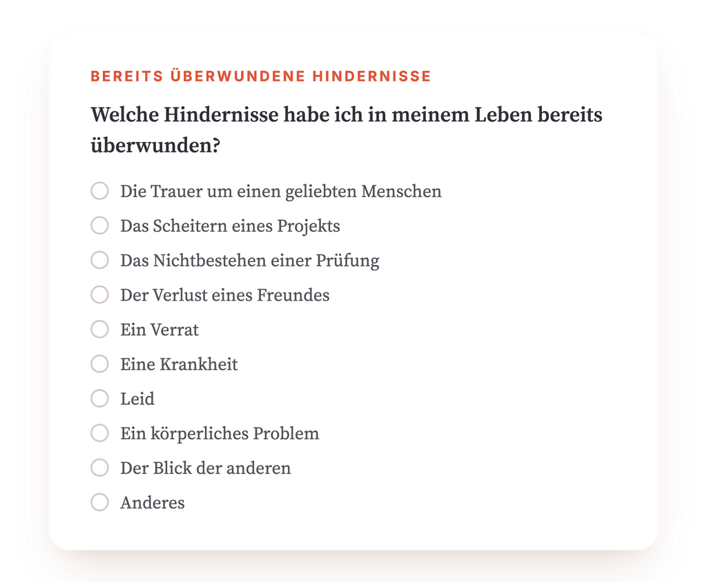Vorschau, ein Auszug aus einem Schritt des Programms