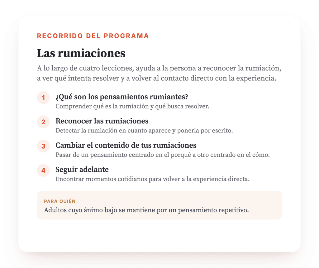 Resumen del programa · El mapa del programa, lección a lección.
